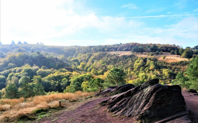 Destination Brocéliande