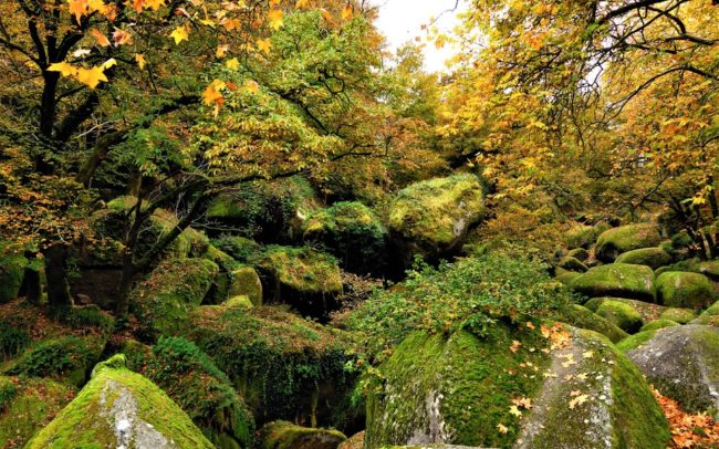 Au coeur de la Bretagne